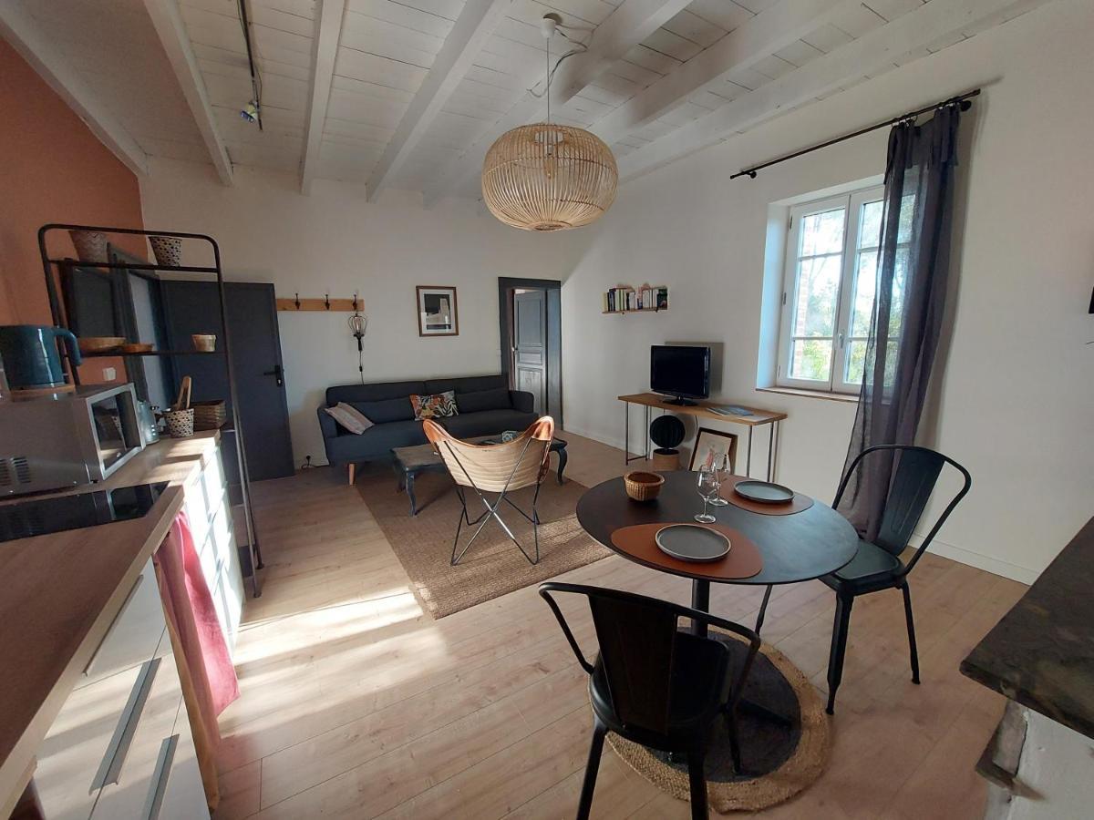 16 Bis-Gite-Hotel-Appartement Marssac-sur-Tarn Εξωτερικό φωτογραφία